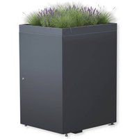 Metzler Mülltonnenbox mit Pflanzdach | 1er | 240l | aus Stahl | rostfrei & massiv | RAL 7016 Anthrazit