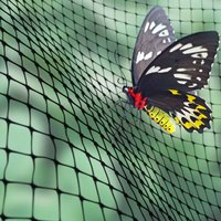 Butterfly & Insect Netting | Fruit & Vegetable Protection | 2m & 4m Widths