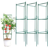 Plant Support Cage (3 Pack)