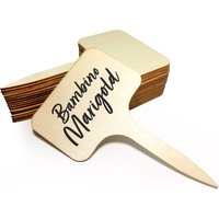Bamboo Plant T Labels
