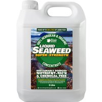 Super-Strength Liquid Seaweed Fertiliser
