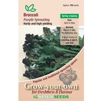 Broccoli Purple Sprouting