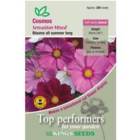 Cosmos Sensation Mixed