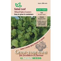 Salad Leaf Mixed Spicy Leaves