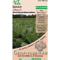 Spinach Colusa F1