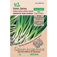 Spring Onion Winter Hardy