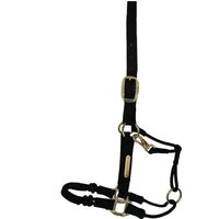 Kentucky Horsewear Halfter „Control“ – WB Kentucky Horsewear Halfter „Control“ – WB