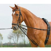 BUSSE Laufferzügel BASIC – 1 Stück BUSSE Laufferzügel BASIC – 1 Stück