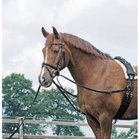 BUSSE Dreieckszügel BASIC – 1 Stück BUSSE Dreieckszügel BASIC – 1 Stück