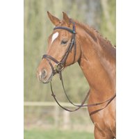 Stübben Trensenzaum Leitrim mit kombinierten Reithalfter – VB Stübben Trensenzaum Leitrim mit kombinierten Reithalfter – VB