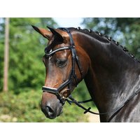 BUSSE Trense MODENA schwarz/weiß – VB BUSSE Trense MODENA schwarz/weiß – VB