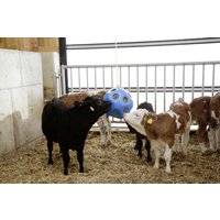 Kerbl Futterspielball Hey Boy – blau Kerbl Futterspielball Hey Boy – blau