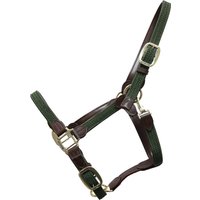 Kentucky Horsewear Nylon-Halfter geflochten olive green – VB Kentucky Horsewear Nylon-Halfter geflochten olive green – VB