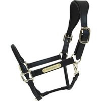 Kentucky Horsewear Lederhalfter „Anatomic“ Cob – schwarz Kentucky Horsewear Lederhalfter „Anatomic“ Cob – schwarz