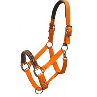 Schockemöhle Sports Halfter Memphis orange – WB Schockemöhle Sports Halfter Memphis orange – WB