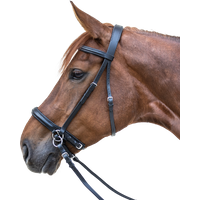 Waldhausen STAR Zaum gebisslos schwarz – XWB Waldhausen STAR Zaum gebisslos schwarz – XWB