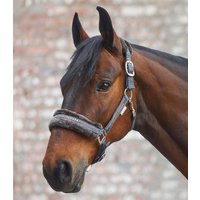 Waldhausen Halfter Elegant asphalt – PON Waldhausen Halfter Elegant asphalt – PON