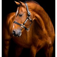 Horseware Ireland Leder-Halfter Signature „Black“ – WB Horseware Ireland Leder-Halfter Signature „Black“ – WB