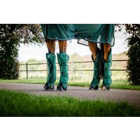 Horseware Ireland Transportgamaschen Signature „Hunter Green“ – Warmblut Horseware Ireland Transportgamaschen Signature „Hunter Green“ – Warmblut