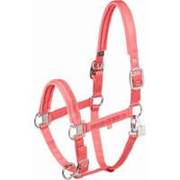 ESKADRON Halfter MATTGLOSS JEWEL DOUBLE PIN, coral blossom – WB ESKADRON Halfter MATTGLOSS JEWEL DOUBLE PIN, coral blossom – WB