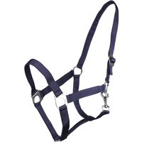 QHP Halfter mit Schiebeschnalle Blau – Full QHP Halfter mit Schiebeschnalle Blau – Full