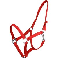 QHP Halfter mit Schiebeschnalle Rot – Full QHP Halfter mit Schiebeschnalle Rot – Full