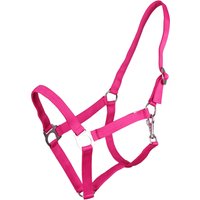 QHP Halfter mit Schiebeschnalle Fuchsia – Cob QHP Halfter mit Schiebeschnalle Fuchsia – Cob