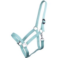 QHP Halfter mit Schiebeschnalle Ice – Shetty QHP Halfter mit Schiebeschnalle Ice – Shetty