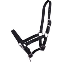 QHP Fohlen Halfter Schwarz – Pony-Fohlen QHP Fohlen Halfter Schwarz – Pony-Fohlen