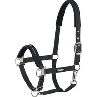 ESKADRON Halfter Pin Buckle WB – schwarz ESKADRON Halfter Pin Buckle WB – schwarz