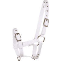 Waldhausen Fohlenhalfter Triple – weiß Waldhausen Fohlenhalfter Triple – weiß