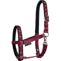 Waldhausen Fohlenhalfter Comfort – bordeaux Waldhausen Fohlenhalfter Comfort – bordeaux