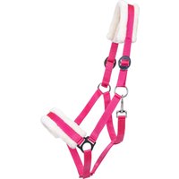QHP Halfter Cali, fuchsia – Warmblut QHP Halfter Cali, fuchsia – Warmblut