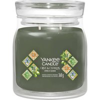 Hello Italy Signature Medium Jar & Cypress