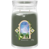 Hello Italy Signature Large Jar & Cypress