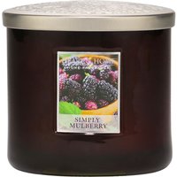 & Elipse Candles Twin Wick Simply Mulberry