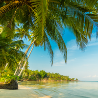 belize 1 gb 7 days
