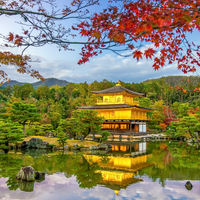 japan 50 gb 60 days