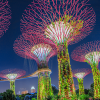 singapore unlimited 1 day