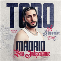 Toro en Concierto