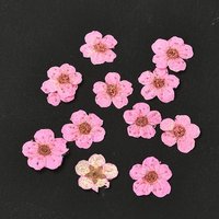 Narciso che sbalza fiori secchi, per cellulare, photo frame, scrapbooking fai da te fatto a mano, roso, 7mm, 20pcs/scatola