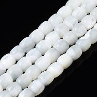 Chapelets de perles de coquille de trochid / trochus coquille, eau de Javel, colonne, blanc, 6x5.5mm, Trou: 0.8mm, Environ 68-69 pcs/chapelet, 15.47 pouce - 15.75 pouces (39.3-40 cm)