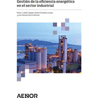 Gestión de la eficiencia energética en el sector industrial