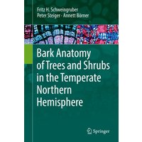Bark Anatomy of Trees and Shrubs in the Temperate Northern Hemisphere