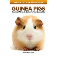 Guinea Pigs