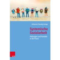 Systemische Sozialarbeit