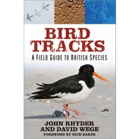 Bird Tracks