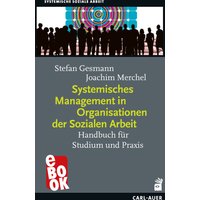 Systemisches Management in Organisationen der Sozialen Arbeit