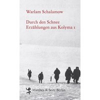 Durch den Schnee