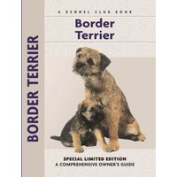 Border Terrier